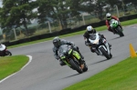 Motorcycle-action-photographs;Trackday-digital-images;cadwell;cadwell-park-photographs;event-digital-images;eventdigitalimages;motor-racing-louth-lincolnshire;no-limits-trackday;peter-wileman-photography;trackday;trackday-photos