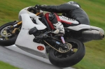 Motorcycle-action-photographs;Trackday-digital-images;cadwell;cadwell-park-photographs;event-digital-images;eventdigitalimages;motor-racing-louth-lincolnshire;no-limits-trackday;peter-wileman-photography;trackday;trackday-photos