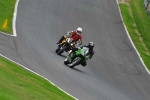 Motorcycle-action-photographs;Trackday-digital-images;cadwell;cadwell-park-photographs;event-digital-images;eventdigitalimages;motor-racing-louth-lincolnshire;no-limits-trackday;peter-wileman-photography;trackday;trackday-photos