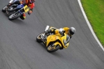 GREEN/YELLOW BIKES