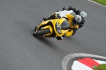 Motorcycle-action-photographs;Trackday-digital-images;cadwell;cadwell-park-photographs;event-digital-images;eventdigitalimages;motor-racing-louth-lincolnshire;no-limits-trackday;peter-wileman-photography;trackday;trackday-photos
