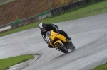 Mallory-park-Leicestershire;Mallory-park-photographs;Motorcycle-action-photographs;event-digital-images;eventdigitalimages;mallory-park;no-limits-trackday;peter-wileman-photography;trackday;trackday-digital-images;trackday-photos