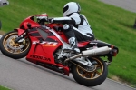 Motorcycle-action-photographs;Rockingham;Rockingham-photographs;event-digital-images;eventdigitalimages;no-limits-trackday;peter-wileman-photography;rockingham-corby-northamptonshire;trackday;trackday-digital-images;trackday-photos