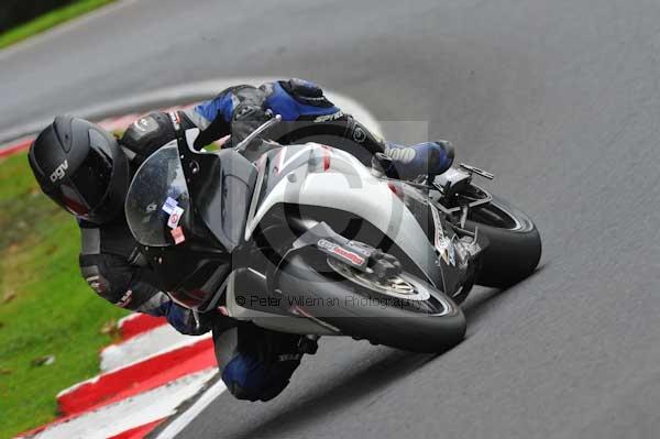 Motorcycle action photographs;cadwell;cadwell park photographs;event digital images;eventdigitalimages;motor racing louth lincolnshire;no limits trackday;peter wileman photography;trackday;trackday digital images;trackday photos