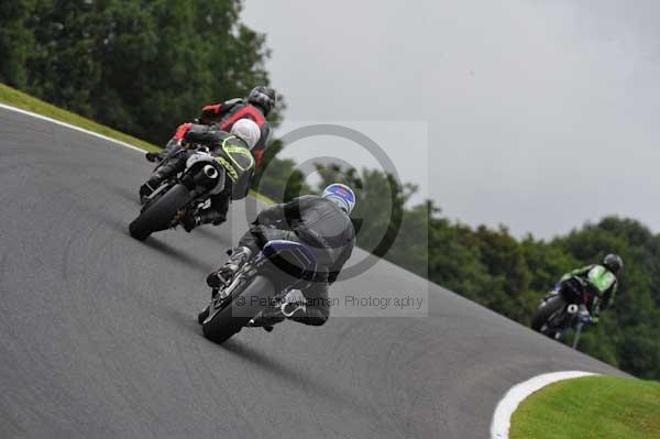 Motorcycle action photographs;cadwell;cadwell park photographs;event digital images;eventdigitalimages;motor racing louth lincolnshire;no limits trackday;peter wileman photography;trackday;trackday digital images;trackday photos