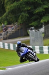 Motorcycle-action-photographs;cadwell;cadwell-park-photographs;event-digital-images;eventdigitalimages;motor-racing-louth-lincolnshire;no-limits-trackday;peter-wileman-photography;trackday;trackday-digital-images;trackday-photos