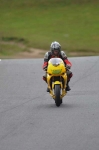 Motorcycle-action-photographs;cadwell;cadwell-park-photographs;event-digital-images;eventdigitalimages;motor-racing-louth-lincolnshire;no-limits-trackday;peter-wileman-photography;trackday;trackday-digital-images;trackday-photos