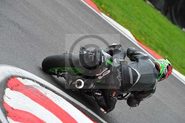 Motorcycle action photographs;cadwell;cadwell park photographs;event digital images;eventdigitalimages;motor racing louth lincolnshire;no limits trackday;peter wileman photography;trackday;trackday digital images;trackday photos