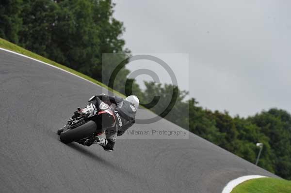 Motorcycle action photographs;cadwell;cadwell park photographs;event digital images;eventdigitalimages;motor racing louth lincolnshire;no limits trackday;peter wileman photography;trackday;trackday digital images;trackday photos