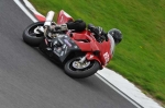 Motorcycle-action-photographs;cadwell;cadwell-park-photographs;event-digital-images;eventdigitalimages;motor-racing-louth-lincolnshire;no-limits-trackday;peter-wileman-photography;trackday;trackday-digital-images;trackday-photos