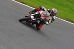 Motorcycle-action-photographs;cadwell;cadwell-park-photographs;event-digital-images;eventdigitalimages;motor-racing-louth-lincolnshire;no-limits-trackday;peter-wileman-photography;trackday;trackday-digital-images;trackday-photos