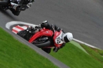 Motorcycle-action-photographs;cadwell;cadwell-park-photographs;event-digital-images;eventdigitalimages;motor-racing-louth-lincolnshire;no-limits-trackday;peter-wileman-photography;trackday;trackday-digital-images;trackday-photos