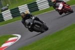 Motorcycle-action-photographs;cadwell;cadwell-park-photographs;event-digital-images;eventdigitalimages;motor-racing-louth-lincolnshire;no-limits-trackday;peter-wileman-photography;trackday;trackday-digital-images;trackday-photos