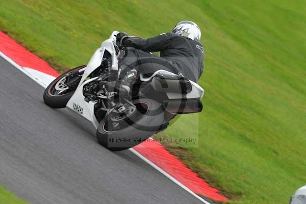 Motorcycle action photographs;cadwell;cadwell park photographs;event digital images;eventdigitalimages;motor racing louth lincolnshire;no limits trackday;peter wileman photography;trackday;trackday digital images;trackday photos