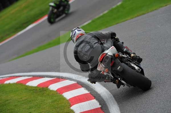 Motorcycle action photographs;cadwell;cadwell park photographs;event digital images;eventdigitalimages;motor racing louth lincolnshire;no limits trackday;peter wileman photography;trackday;trackday digital images;trackday photos
