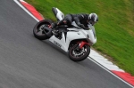 Motorcycle-action-photographs;cadwell;cadwell-park-photographs;event-digital-images;eventdigitalimages;motor-racing-louth-lincolnshire;no-limits-trackday;peter-wileman-photography;trackday;trackday-digital-images;trackday-photos