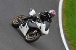 Motorcycle-action-photographs;cadwell;cadwell-park-photographs;event-digital-images;eventdigitalimages;motor-racing-louth-lincolnshire;no-limits-trackday;peter-wileman-photography;trackday;trackday-digital-images;trackday-photos