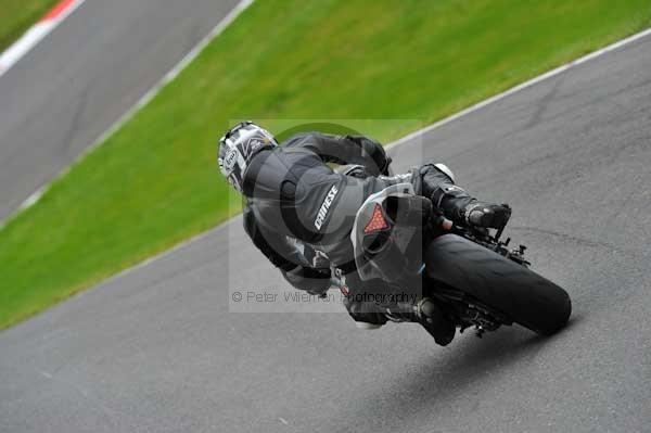 Motorcycle action photographs;cadwell;cadwell park photographs;event digital images;eventdigitalimages;motor racing louth lincolnshire;no limits trackday;peter wileman photography;trackday;trackday digital images;trackday photos