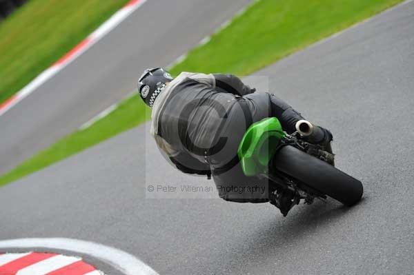 Motorcycle action photographs;cadwell;cadwell park photographs;event digital images;eventdigitalimages;motor racing louth lincolnshire;no limits trackday;peter wileman photography;trackday;trackday digital images;trackday photos