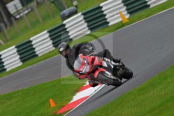 Motorcycle action photographs;cadwell;cadwell park photographs;event digital images;eventdigitalimages;motor racing louth lincolnshire;no limits trackday;peter wileman photography;trackday;trackday digital images;trackday photos