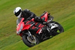 Motorcycle-action-photographs;cadwell;cadwell-park-photographs;event-digital-images;eventdigitalimages;motor-racing-louth-lincolnshire;no-limits-trackday;peter-wileman-photography;trackday;trackday-digital-images;trackday-photos