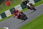 Motorcycle-action-photographs;cadwell;cadwell-park-photographs;event-digital-images;eventdigitalimages;motor-racing-louth-lincolnshire;no-limits-trackday;peter-wileman-photography;trackday;trackday-digital-images;trackday-photos