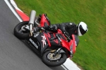 Motorcycle-action-photographs;cadwell;cadwell-park-photographs;event-digital-images;eventdigitalimages;motor-racing-louth-lincolnshire;no-limits-trackday;peter-wileman-photography;trackday;trackday-digital-images;trackday-photos