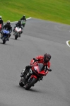 Motorcycle-action-photographs;cadwell;cadwell-park-photographs;event-digital-images;eventdigitalimages;motor-racing-louth-lincolnshire;no-limits-trackday;peter-wileman-photography;trackday;trackday-digital-images;trackday-photos