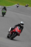Motorcycle-action-photographs;cadwell;cadwell-park-photographs;event-digital-images;eventdigitalimages;motor-racing-louth-lincolnshire;no-limits-trackday;peter-wileman-photography;trackday;trackday-digital-images;trackday-photos