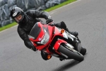 Motorcycle-action-photographs;cadwell;cadwell-park-photographs;event-digital-images;eventdigitalimages;motor-racing-louth-lincolnshire;no-limits-trackday;peter-wileman-photography;trackday;trackday-digital-images;trackday-photos