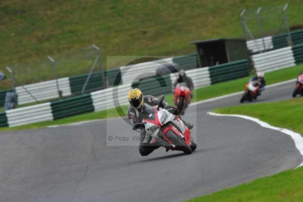 Motorcycle action photographs;cadwell;cadwell park photographs;event digital images;eventdigitalimages;motor racing louth lincolnshire;no limits trackday;peter wileman photography;trackday;trackday digital images;trackday photos
