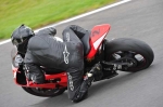 Motorcycle-action-photographs;cadwell;cadwell-park-photographs;event-digital-images;eventdigitalimages;motor-racing-louth-lincolnshire;no-limits-trackday;peter-wileman-photography;trackday;trackday-digital-images;trackday-photos