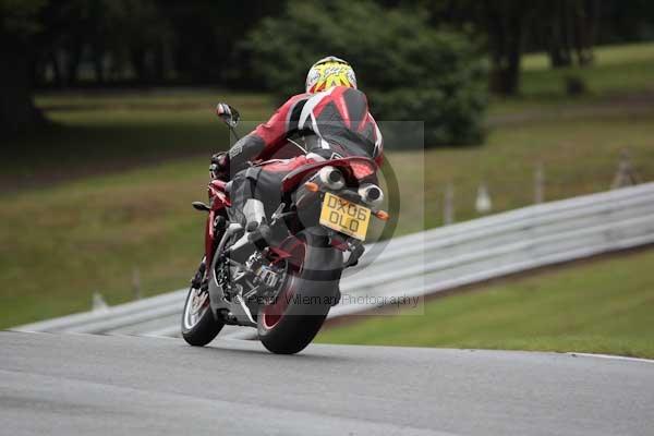 Motorcycle action photographs;event digital images;eventdigitalimages;no limits trackday;oulton park;oulton park circuit cheshire;oulton park photographs;peter wileman photography;trackday;trackday digital images;trackday photos