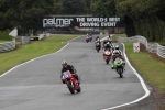 Motorcycle-action-photographs;event-digital-images;eventdigitalimages;no-limits-trackday;oulton-park;oulton-park-circuit-cheshire;oulton-park-photographs;peter-wileman-photography;trackday;trackday-digital-images;trackday-photos