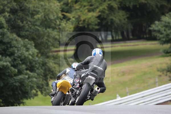 Motorcycle action photographs;event digital images;eventdigitalimages;no limits trackday;oulton park;oulton park circuit cheshire;oulton park photographs;peter wileman photography;trackday;trackday digital images;trackday photos