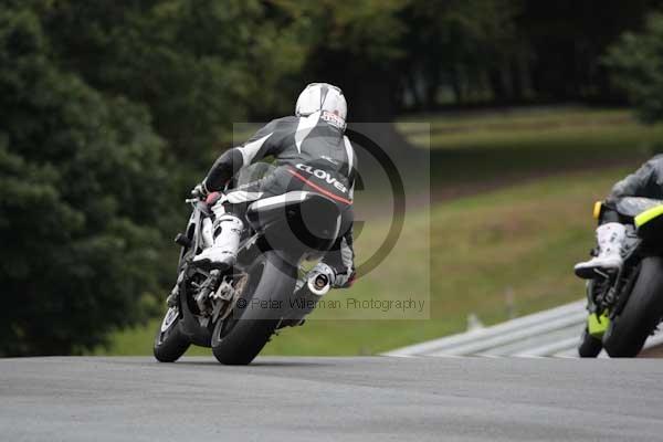 Motorcycle action photographs;event digital images;eventdigitalimages;no limits trackday;oulton park;oulton park circuit cheshire;oulton park photographs;peter wileman photography;trackday;trackday digital images;trackday photos