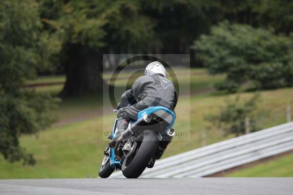Motorcycle action photographs;event digital images;eventdigitalimages;no limits trackday;oulton park;oulton park circuit cheshire;oulton park photographs;peter wileman photography;trackday;trackday digital images;trackday photos