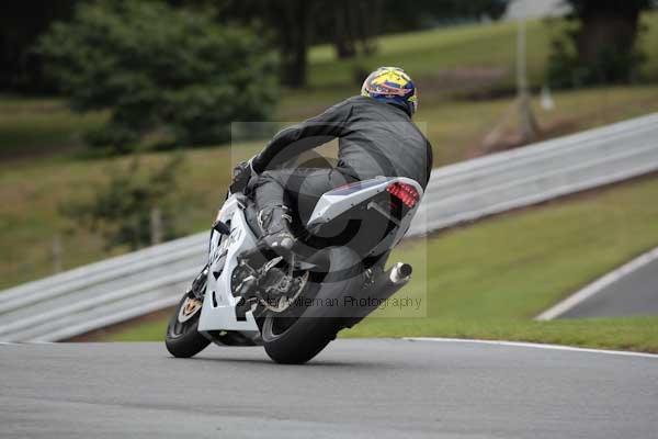 Motorcycle action photographs;event digital images;eventdigitalimages;no limits trackday;oulton park;oulton park circuit cheshire;oulton park photographs;peter wileman photography;trackday;trackday digital images;trackday photos
