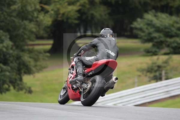 Motorcycle action photographs;event digital images;eventdigitalimages;no limits trackday;oulton park;oulton park circuit cheshire;oulton park photographs;peter wileman photography;trackday;trackday digital images;trackday photos