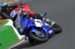anglesey;brands-hatch;cadwell-park;croft;donington-park;enduro-digital-images;event-digital-images;eventdigitalimages;mallory;no-limits;oulton-park;peter-wileman-photography;racing-digital-images;silverstone;snetterton;trackday-digital-images;trackday-photos;vmcc-banbury-run;welsh-2-day-enduro