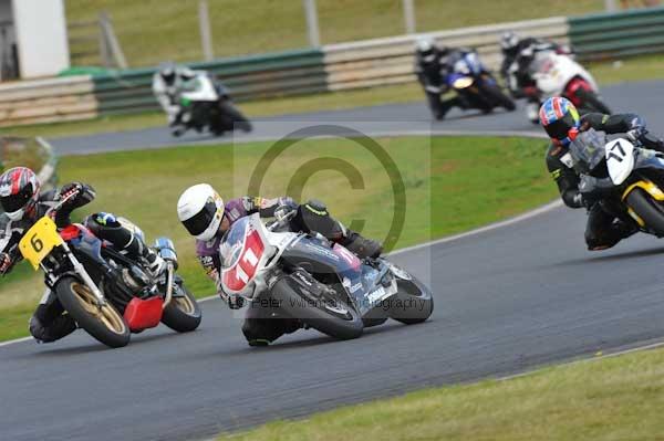 anglesey;brands hatch;cadwell park;croft;digital images;donington park;enduro;enduro digital images;event;event digital images;eventdigitalimages;mallory park;no limits;oulton park;peter wileman photography;racing;racing digital images;silverstone;snetterton;trackday;trackday digital images;trackday photos;vintage;vmcc banbury run;welsh 2 day enduro