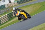 anglesey;brands-hatch;cadwell-park;croft;digital-images;donington-park;enduro;enduro-digital-images;event;event-digital-images;eventdigitalimages;mallory-park;no-limits;oulton-park;peter-wileman-photography;racing;racing-digital-images;silverstone;snetterton;trackday;trackday-digital-images;trackday-photos;vintage;vmcc-banbury-run;welsh-2-day-enduro