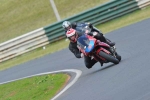 anglesey;brands-hatch;cadwell-park;croft;digital-images;donington-park;enduro;enduro-digital-images;event;event-digital-images;eventdigitalimages;mallory-park;no-limits;oulton-park;peter-wileman-photography;racing;racing-digital-images;silverstone;snetterton;trackday;trackday-digital-images;trackday-photos;vintage;vmcc-banbury-run;welsh-2-day-enduro