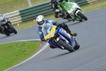 anglesey;brands-hatch;cadwell-park;croft;digital-images;donington-park;enduro;enduro-digital-images;event;event-digital-images;eventdigitalimages;mallory-park;no-limits;oulton-park;peter-wileman-photography;racing;racing-digital-images;silverstone;snetterton;trackday;trackday-digital-images;trackday-photos;vintage;vmcc-banbury-run;welsh-2-day-enduro