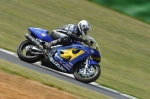 anglesey;brands-hatch;cadwell-park;croft;digital-images;donington-park;enduro;enduro-digital-images;event;event-digital-images;eventdigitalimages;mallory-park;no-limits;oulton-park;peter-wileman-photography;racing;racing-digital-images;silverstone;snetterton;trackday;trackday-digital-images;trackday-photos;vintage;vmcc-banbury-run;welsh-2-day-enduro