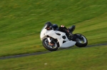 EVENING FAST/INTER BLUE/WHITE  BIKES