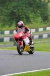 anglesey;brands-hatch;cadwell-park;croft;donington-park;enduro-digital-images;event-digital-images;eventdigitalimages;mallory;no-limits;oulton-park;peter-wileman-photography;racing-digital-images;silverstone;snetterton;trackday-digital-images;trackday-photos;vmcc-banbury-run;welsh-2-day-enduro