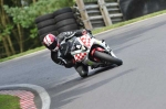 anglesey;brands-hatch;cadwell-park;croft;digital-images;donington-park;enduro;enduro-digital-images;event;event-digital-images;eventdigitalimages;mallory-park;no-limits;oulton-park;peter-wileman-photography;racing;racing-digital-images;silverstone;snetterton;trackday;trackday-digital-images;trackday-photos;vintage;vmcc-banbury-run;welsh-2-day-enduro