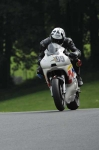 anglesey;brands-hatch;cadwell-park;croft;digital-images;donington-park;enduro;enduro-digital-images;event;event-digital-images;eventdigitalimages;mallory-park;no-limits;oulton-park;peter-wileman-photography;racing;racing-digital-images;silverstone;snetterton;trackday;trackday-digital-images;trackday-photos;vintage;vmcc-banbury-run;welsh-2-day-enduro