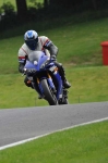 anglesey;brands-hatch;cadwell-park;croft;digital-images;donington-park;enduro;enduro-digital-images;event;event-digital-images;eventdigitalimages;mallory-park;no-limits;oulton-park;peter-wileman-photography;racing;racing-digital-images;silverstone;snetterton;trackday;trackday-digital-images;trackday-photos;vintage;vmcc-banbury-run;welsh-2-day-enduro